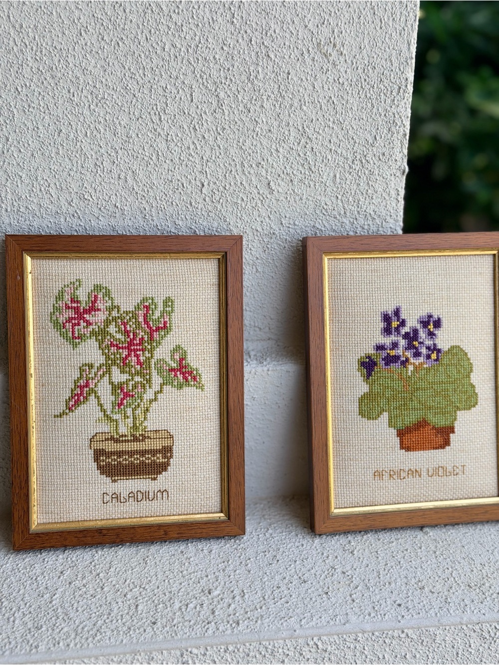 Vintage Cross Stitch Botanical Wall Art Caladium African Violet Framed Pair